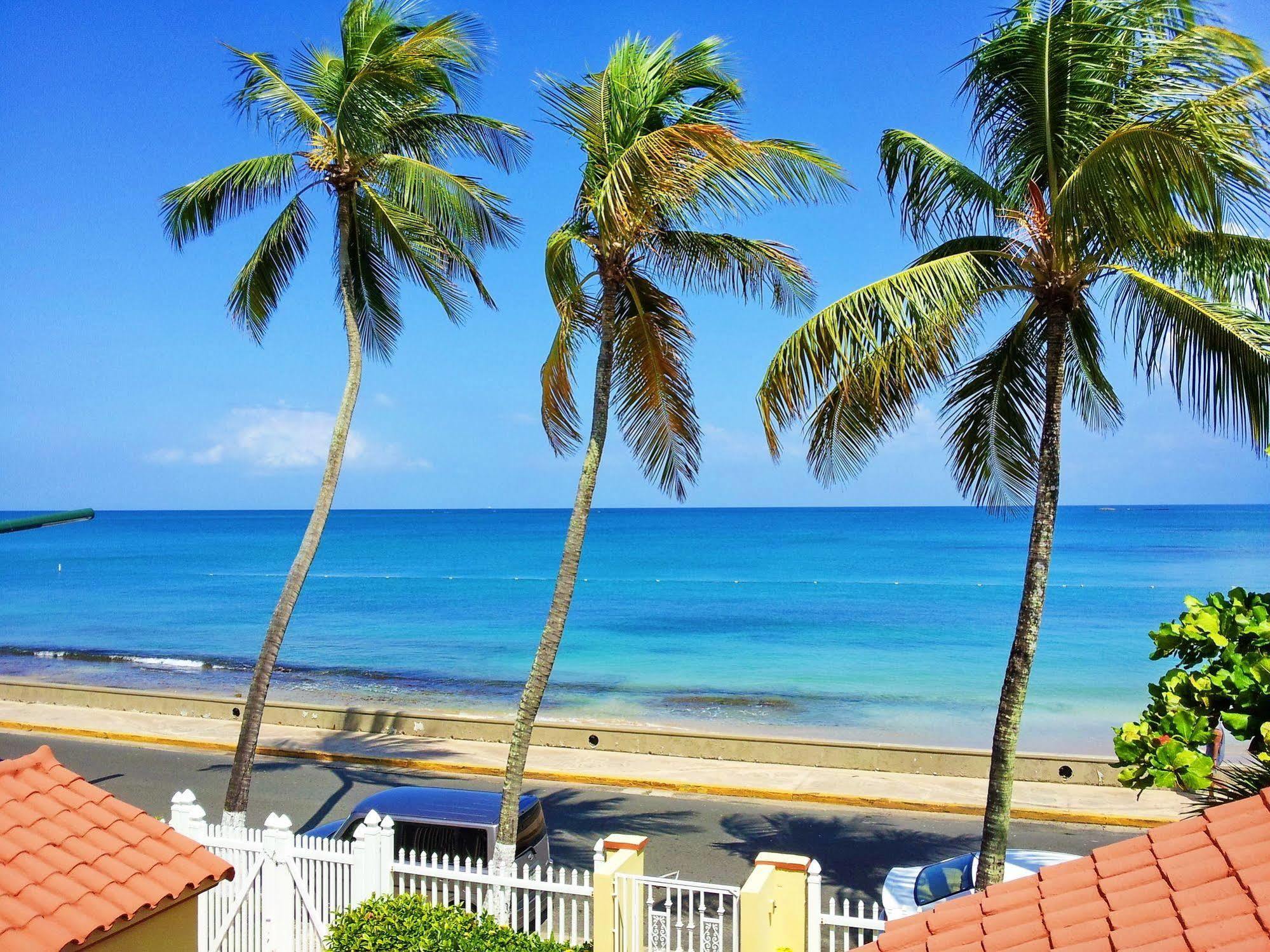Tres Palmas Inn San Juan Dış mekan fotoğraf